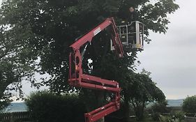 Vermieterei